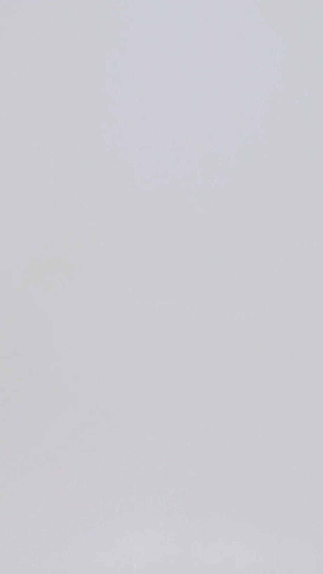 Argyle Full Embroidered Shirt in Cotton